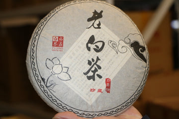 2010 Shou mei